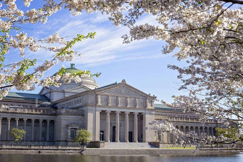 Vanderbilt Mansion